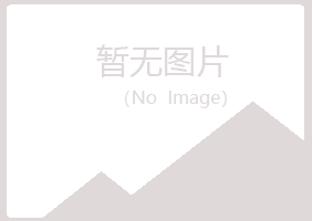 威海环翠夏岚会计有限公司